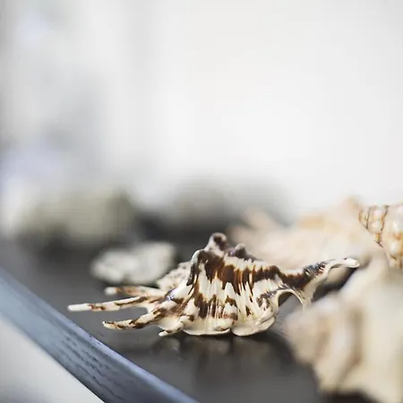 Strandvilla 20 Abendrot Appartamento Baabe