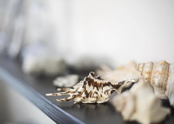 Strandvilla 20 Abendrot 아파트 바베